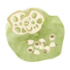 Watercolor Leaf, Lotus Root Pieces and Seeds, Illustration Composition for Web, Print, Textile, Products and Advertising