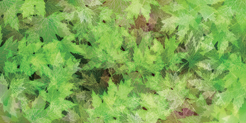 新緑　葉　風景　背景