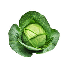 Fototapeta premium Fresh Cabbage on transparent background