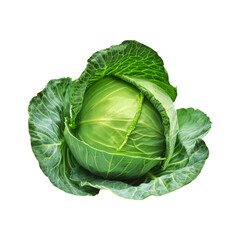 Fototapeta premium Cabbage on transparent background
