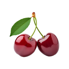 Fresh cherry fruit on transparent background