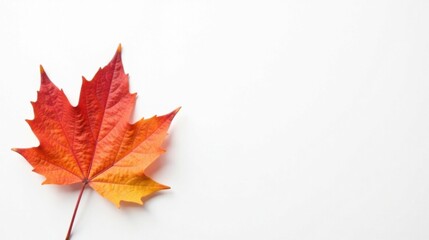 A Single Vibrant Autumn Leaf on a Plain White Background, Perfect for Seasonal Designs and Fall-Themed Projects