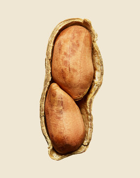Peanut in Shell on Minimalist Background