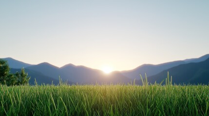 Sunrise Mountain Meadow