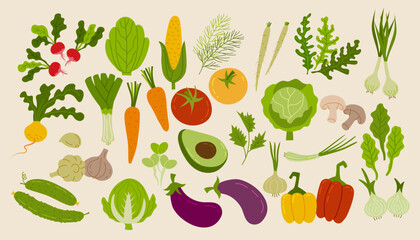 Food vegetables. Icon radish, spinach, onion and carrot, fresh corn, green cucumber, burdock and garlic, turnip. Healthy ingredients. Cooking vegetarian diet. Autumn harvest vector doodle isolated set