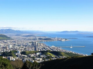 Naklejka premium A stunning panoramic view of Wellington from Evan Hill to Oriental Bay, showcasing the city's waterfront and skyline, cityscape, buildings, travel