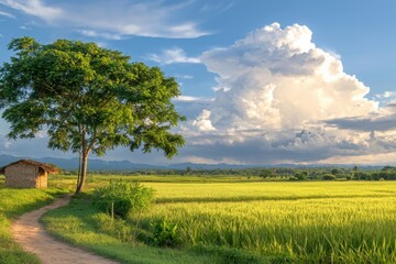 Obraz premium Enhancing rice farming with smart irrigation systems