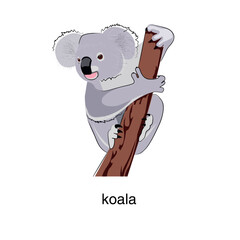 Koala bear on a tree. Vector illustration