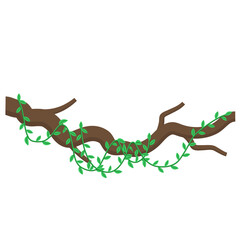 Obraz premium Illustration Vines and Twigs