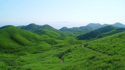Fototapeta premium Rolling Green Hills Landscape