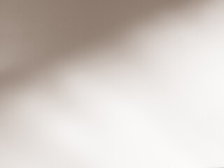 Beige background shadow greadation flower peach nude color gradient pastel abstract leaves pattern blur marble, mockup aesthetic wallapaper valentine sele presentation card overlay summer backdrop.