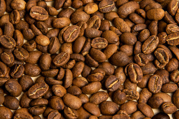 A high-quality photograph of carefully selected coffee beans, showcasing their rich texture and natural colors. Perfect for use as a background in designs, advertisements for coffee shops, cafes, or o