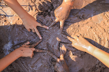 Obraz premium top view of kid hands with learning activity of soil idea in planting