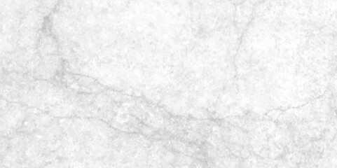 Abstract earth cracks texture on isolate vector background, Black and white old dirty texture, white and black cracks Transparent texture with vector marble pattern background.