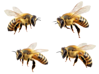 Fototapete Rund  Set of honey bee landing on white background.  © Popy