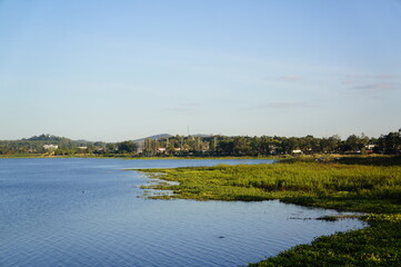 Serene Lake Landscape with Green Vegetation and Calm Blue Waters