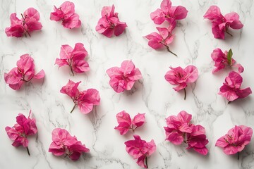 A floral design featuring vibrant pink Bougainvillea flowers isolated on a pristine white surface for a bright look.