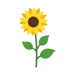 Sunflower icon in flat style. Flora vector illustration on isolated background. Sunflower sign business concept.