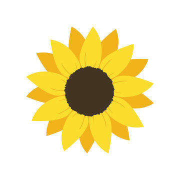Sunflower icon in flat style. Flora vector illustration on isolated background. Sunflower sign business concept.