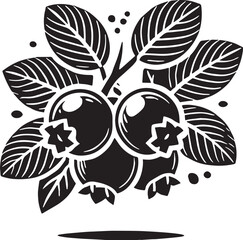 Black Color Blueberry Silhouette Vector Illustration, Solid White Background