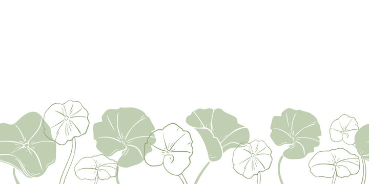 Centella asiatica in soft green tones on botanical vector seamless border. Pennywort silhouette, gotu kola rounded leaves on repeated banner hand drawn monochrome outline for label skincare, wellness.
