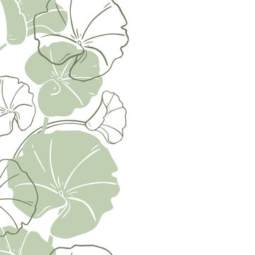 Centella asiatica silhouette in soft green tones on botanical vector seamless border. Gotu kola contour, Pennywort rounded leaves on repeated vertical texture hand drawn for label skincare, wellness.