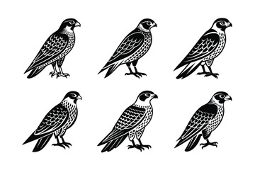Falcon silhouette black set isolated on transparent background