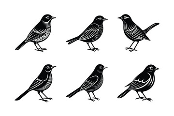 Nightingale silhouette black set isolated on transparent background