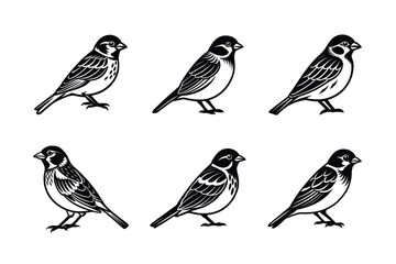 Sparrow silhouette black set isolated on transparent background