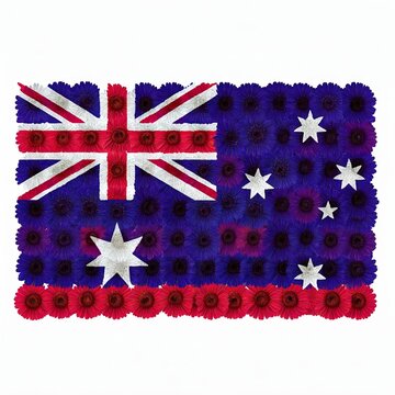 australian flag made of red white and blue flowers  isolated on white background