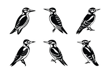 Woodpecker silhouette black set isolated on transparent background