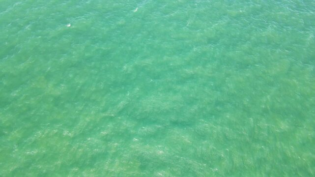 Offshore Botany Bay. High aerial drone footage of sea and off-shore windfarm. Slowly moving forwards and panning upwards to reveal distant windfarm. 6 of 14