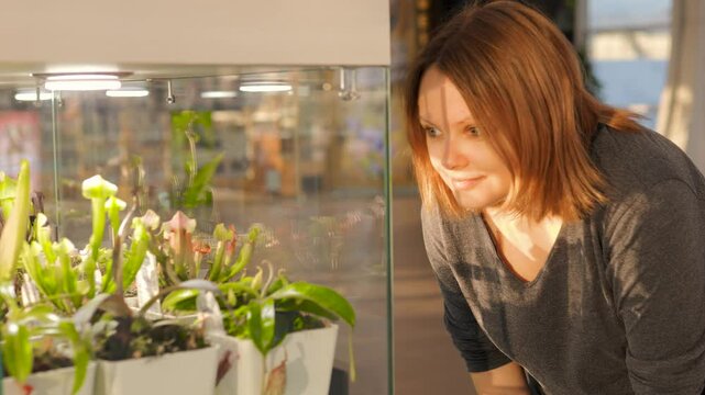 Female botanist studying carnivorous pitcher plants within glass terrarium, surrounded by artificial lighting, revealing scientific fascination with unique botanical specimens