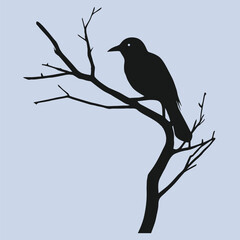 A crow on a branch silhouette