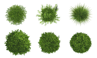 Top View Grass Bushes Set Isolated on White Background in Minimalist Vector Style