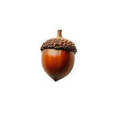 Extreme top view of a perfectly beautiful looking single acorn isolated on a white transparent background