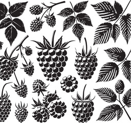 Black Color Raspberry Silhouette Vector Illustration, Solid White Background
