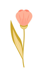 pink spring flower with stem and leaf. Delicate vector illustration in a flat style. 