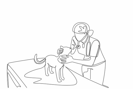 Single continuous line drawing female veterinarian examining head of cat. Check carefully. Focus on the eyes. Performing a diagnosis. Work. World Veterinary Day. One line design vector illustration