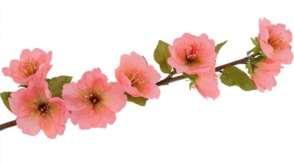 Delicate Pink Cherry Blossom Branch with Vibrant Flowers and Leaves
