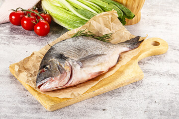 Raw dorada fish served rosemary