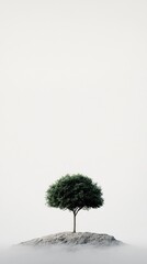 Lone Tree on Foggy Hilltop with Minimalist Background