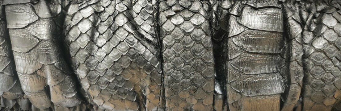 Black snake leather, shiny python leather, snake leather bag, decorative background.