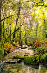 Rio colorido Galicia España