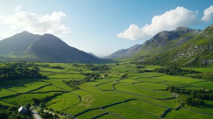 Fototapeta premium Serene Valley Landscape