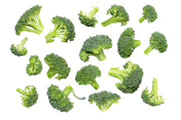 broccoli isolated on white background