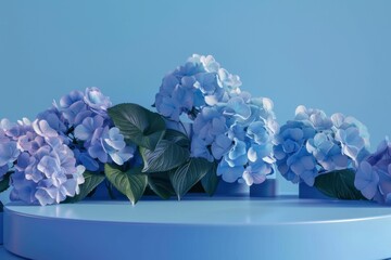 Obraz premium Beautiful Blue Hydrangeas on Soft Blue Background in Minimalist Style
