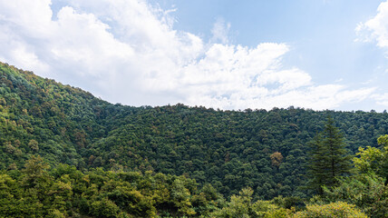 Rural summer landscape in Georgia