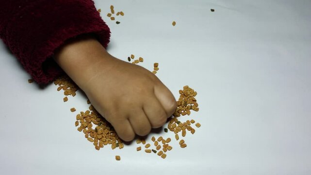 baby touching fresh raw fenugreek seeds in palm with white background studio shot
