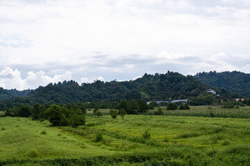 Rural summer landscape in Georgia